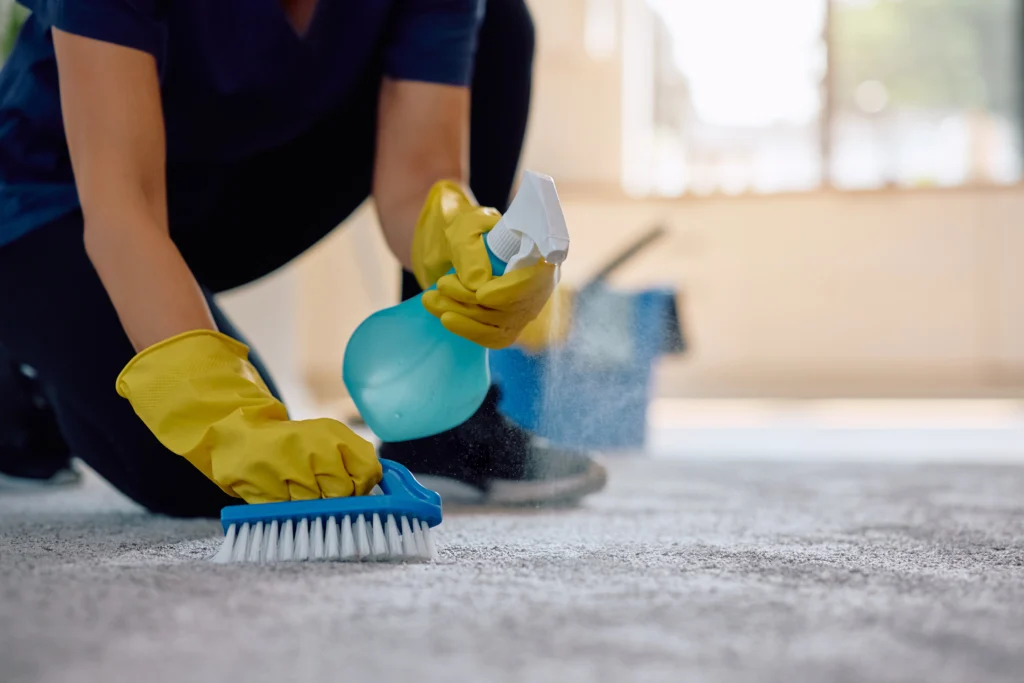 carpet-cleaning-london-1024x683 (1)
